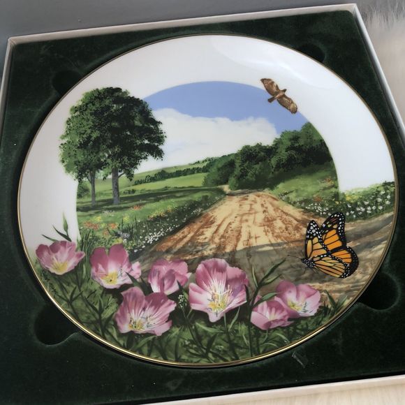 Vitange Bundle of 6 Pcs - Royal Windsor Wildflowers of the South Plate